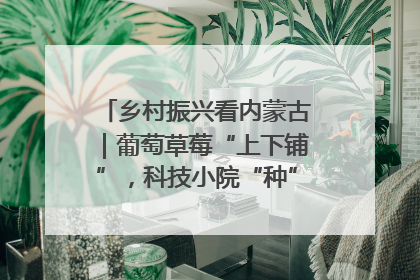 乡村振兴看内蒙古｜葡萄草莓“上下铺”，科技小院“种”出三倍效益
