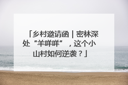乡村邀请函｜密林深处“羊咩咩”，这个小山村如何逆袭？