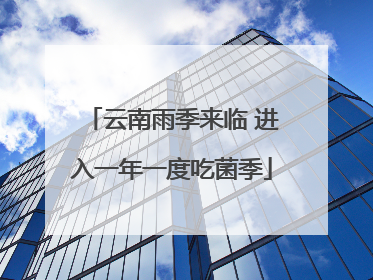 云南雨季来临 进入一年一度吃菌季