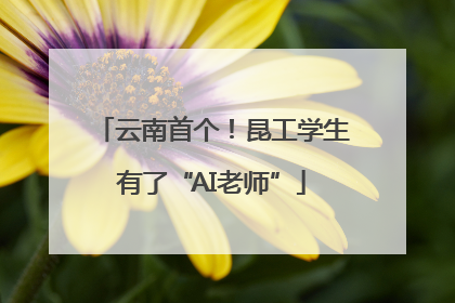 云南首个！昆工学生有了“AI老师”
