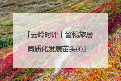 云岭时评丨警惕旅居同质化发展苗头④