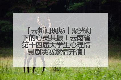 云新闻现场丨聚光灯下的心灵共振！云南省第十四届大学生心理情景剧决赛燃情开演