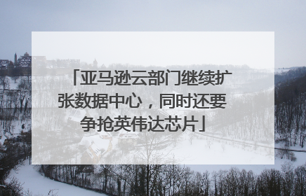 亚马逊云部门继续扩张数据中心，同时还要争抢英伟达芯片