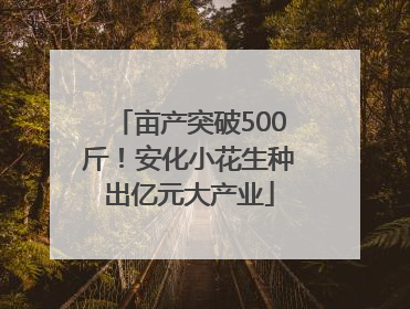 亩产突破500斤！安化小花生种出亿元大产业