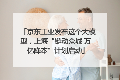京东工业发布这个大模型，上海“链动众城 万亿降本”计划启动