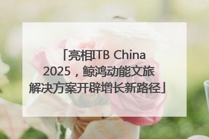 亮相ITB China 2025，鲸鸿动能文旅解决方案开辟增长新路径