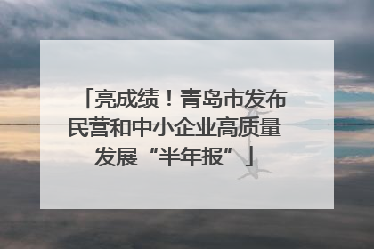 亮成绩！青岛市发布民营和中小企业高质量发展“半年报”
