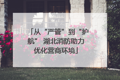 从“严管”到“护航” 湖北消防助力优化营商环境