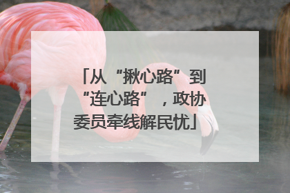 从“揪心路”到“连心路”，政协委员牵线解民忧