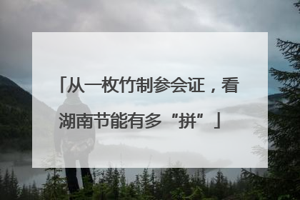 从一枚竹制参会证，看湖南节能有多“拼”