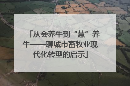 从会养牛到“慧”养牛——聊城市畜牧业现代化转型的启示