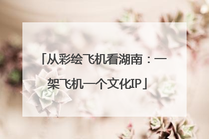从彩绘飞机看湖南：一架飞机一个文化IP