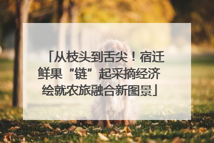 从枝头到舌尖！宿迁鲜果“链”起采摘经济绘就农旅融合新图景