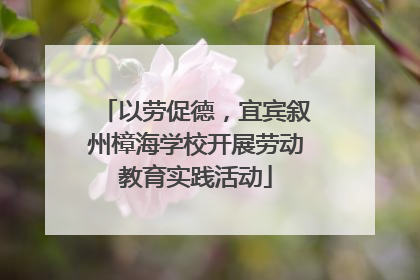 以劳促德，宜宾叙州樟海学校开展劳动教育实践活动