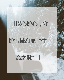 以心护心，守护雪域高原“生命之脉”