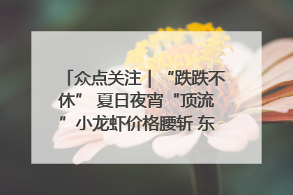 众点关注｜“跌跌不休” 夏日夜宵“顶流”小龙虾价格腰斩 东营人的快乐来了