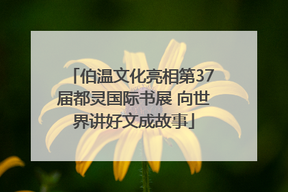 伯温文化亮相第37届都灵国际书展 向世界讲好文成故事