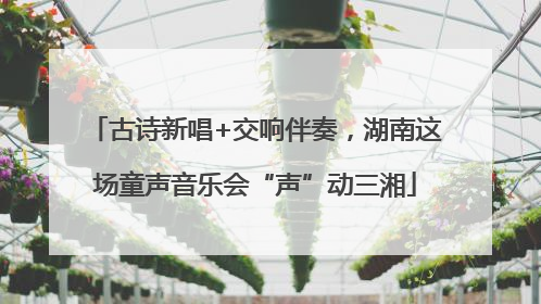 古诗新唱+交响伴奏，湖南这场童声音乐会“声”动三湘