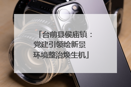 台前县侯庙镇：党建引领绘新景 环境整治焕生机