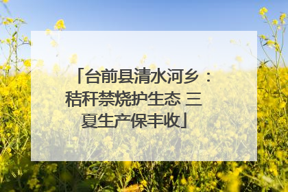 台前县清水河乡：秸秆禁烧护生态 三夏生产保丰收