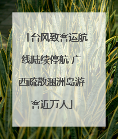 台风致客运航线陆续停航 广西疏散涠洲岛游客近万人