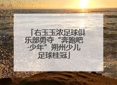 右玉玉浓足球俱乐部勇夺“奔跑吧·少年”朔州少儿足球桂冠