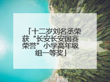 十二岁刘名丞荣获“长安长安国赛荣誉”小学高年级组一等奖