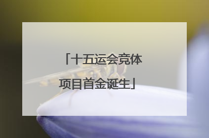 十五运会竞体项目首金诞生