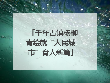 千年古镇杨柳青绘就“人民城市”育人新篇