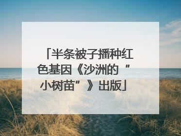 半条被子播种红色基因《沙洲的“小树苗”》出版