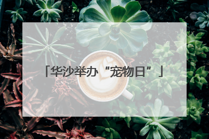 华沙举办“宠物日”