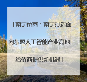 南宁侨商：南宁打造面向东盟人工智能产业高地给侨商提供新机遇