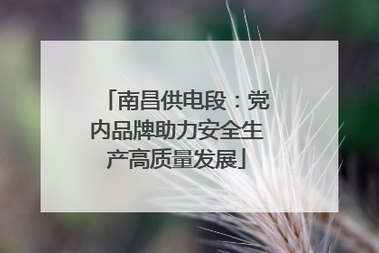 南昌供电段：党内品牌助力安全生产高质量发展