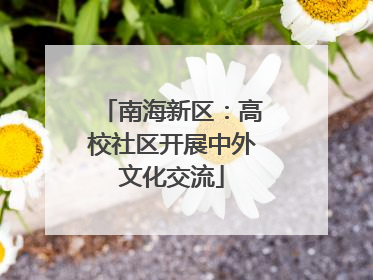 南海新区：高校社区开展中外文化交流
