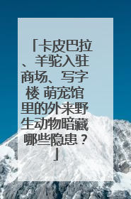 卡皮巴拉、羊驼入驻商场、写字楼 萌宠馆里的外来野生动物暗藏哪些隐患？