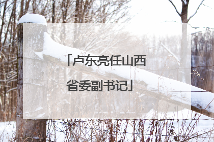 卢东亮任山西省委副书记