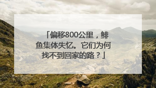 偏移800公里，鲱鱼集体失忆。它们为何找不到回家的路？