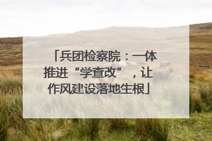 兵团检察院：一体推进“学查改”，让作风建设落地生根