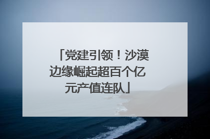 党建引领！沙漠边缘崛起超百个亿元产值连队