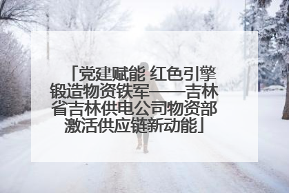 党建赋能 红色引擎锻造物资铁军——吉林省吉林供电公司物资部激活供应链新动能