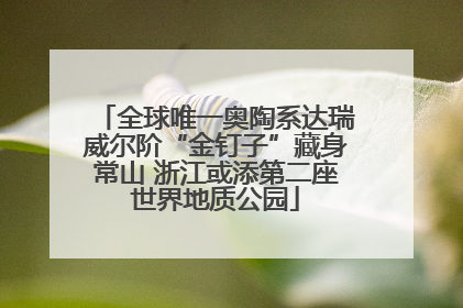 全球唯一奥陶系达瑞威尔阶“金钉子”藏身常山 浙江或添第二座世界地质公园