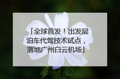 全球首发！出发层泊车代驾技术试点，落地广州白云机场