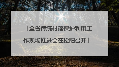 全省传统村落保护利用工作现场推进会在松阳召开