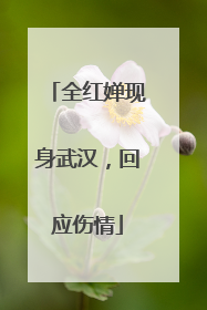 全红婵现身武汉，回应伤情