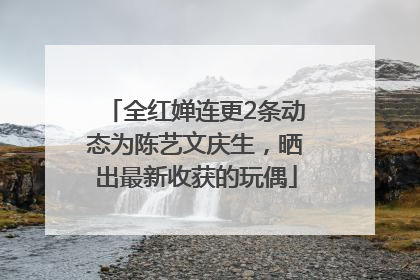 全红婵连更2条动态为陈艺文庆生，晒出最新收获的玩偶