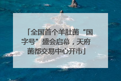 全国首个羊肚菌“国字号”盛会启幕，天府菌都交易中心开市