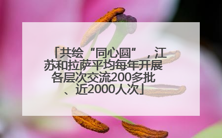共绘“同心圆”，江苏和拉萨平均每年开展各层次交流200多批、近2000人次