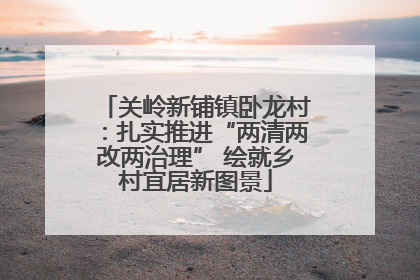 关岭新铺镇卧龙村：扎实推进“两清两改两治理” 绘就乡村宜居新图景