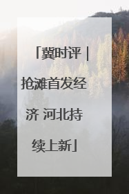 冀时评｜抢滩首发经济 河北持续上新