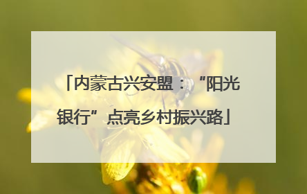 内蒙古兴安盟：“阳光银行”点亮乡村振兴路